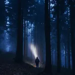 Black Forest Luxury Waldglueck Mit Sauna Königsfeld im Schwarzwald