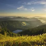 Appartamento Black Forest Luxury Waldglueck Mit Sauna