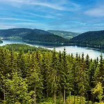 Black Forest Luxury Waldglueck Mit Sauna