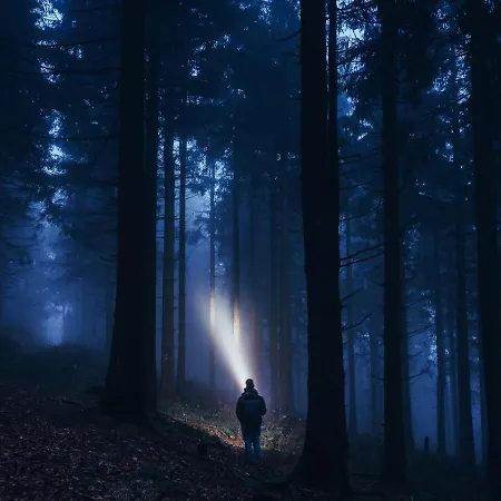 Black Forest Luxury Waldglueck Mit Sauna Königsfeld im Schwarzwald