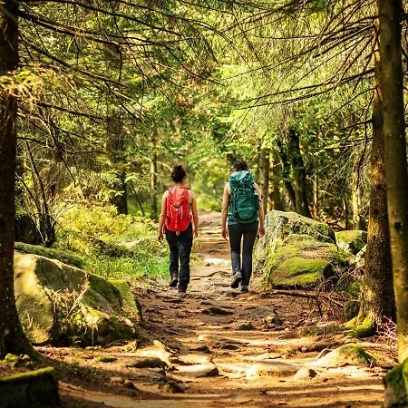 Apartament Black Forest Luxury Waldglueck Mit Sauna *