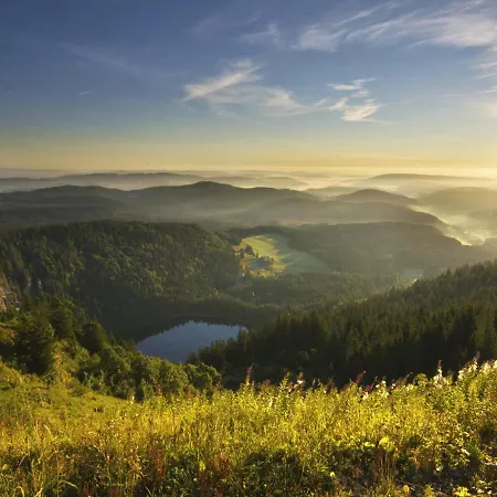 Apartament Black Forest Luxury Waldglueck Mit Sauna