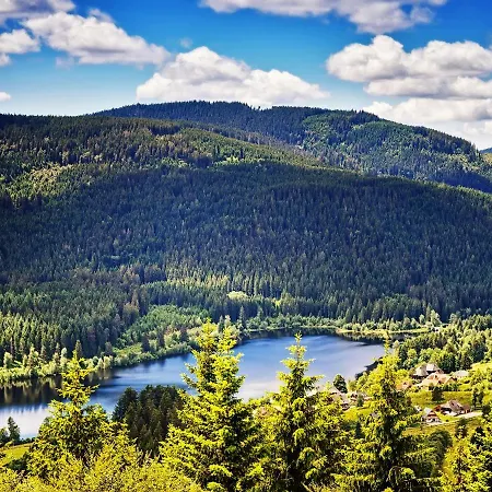 Apartament Black Forest Luxury Waldglueck Mit Sauna Königsfeld im Schwarzwald