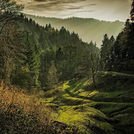 Black Forest Luxury Waldglueck Mit Sauna *